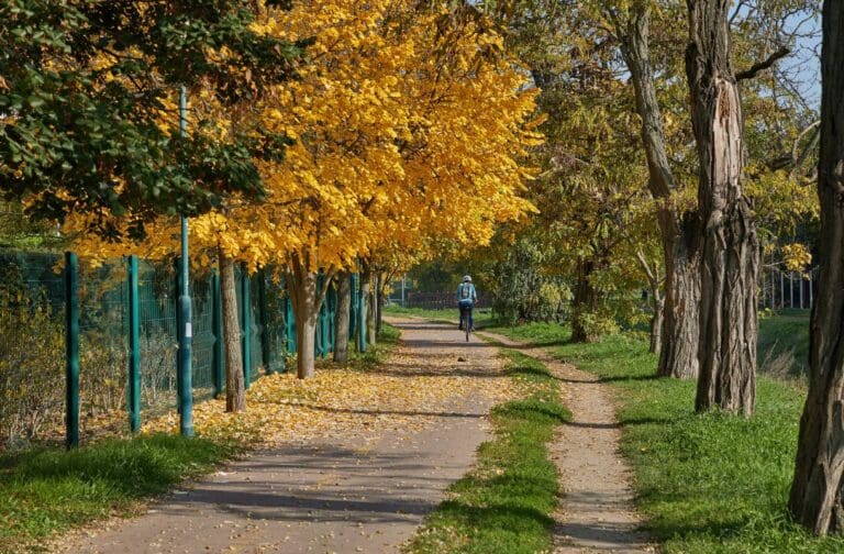 Wales set for a calmer week of weather with sunshine and chilly nights