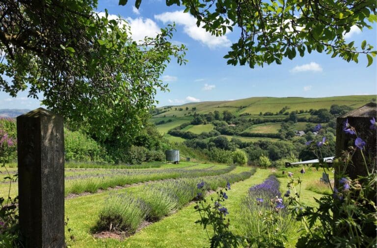 Welsh Government reopens grants for climate change community events