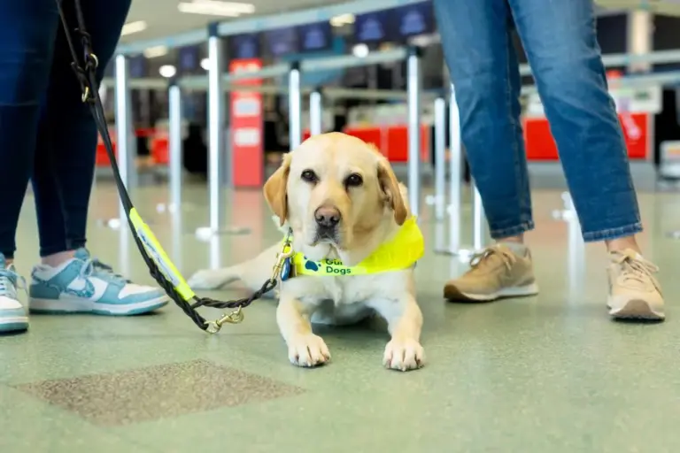 New partnership enhances accessibility at Cardiff Airport