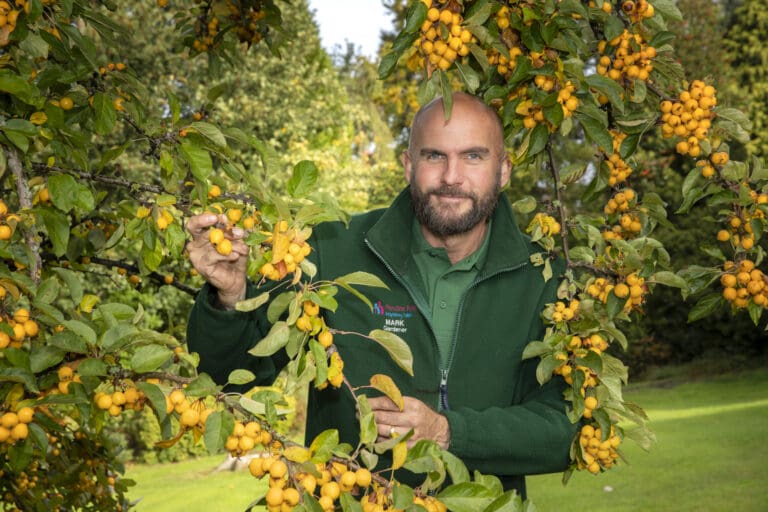 You won’t believe how this Welsh dad turned a dull courtyard into an Italian paradise
