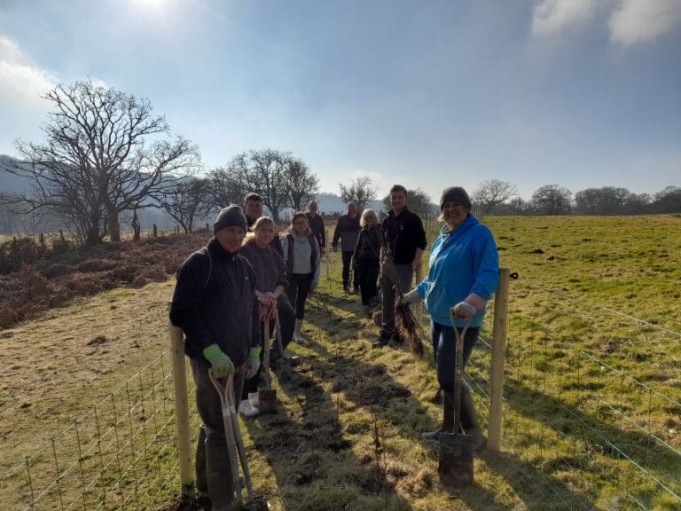 Bydd Cyngor Caerdydd yn plannu 30,000 o goed ychwanegol ar draws y ddinas erbyn y gwanwyn