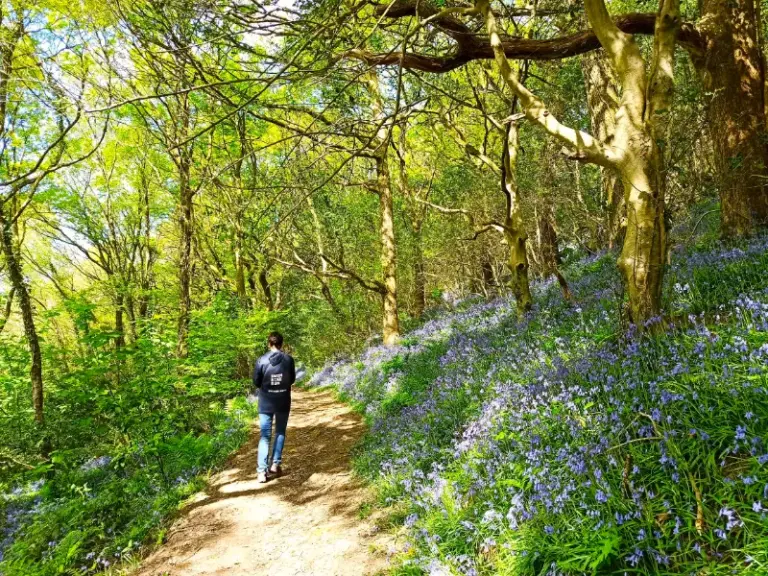 £1m to go on nature recovery projects across Neath Port Talbot