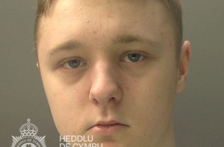 Teen predator from Treorchy jailed for targeting 37 young victims online