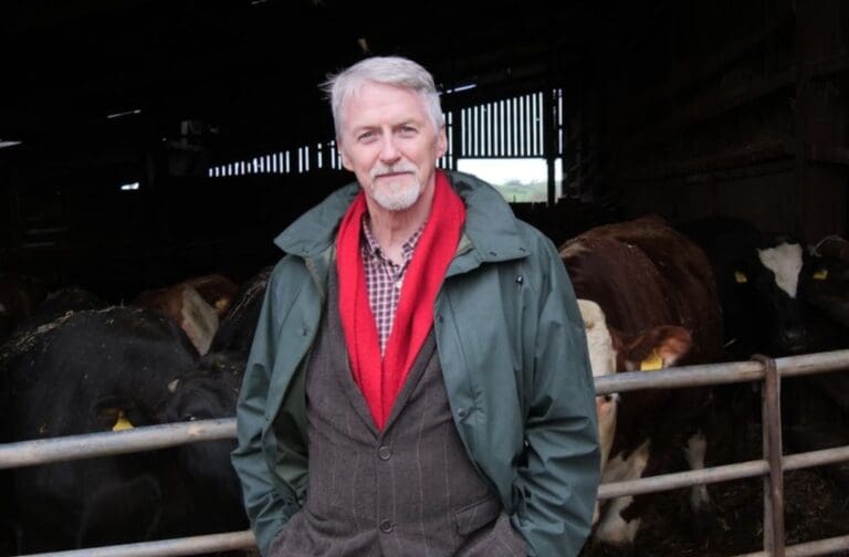 New lifetime TB movement rules for Welsh cattle from 2026