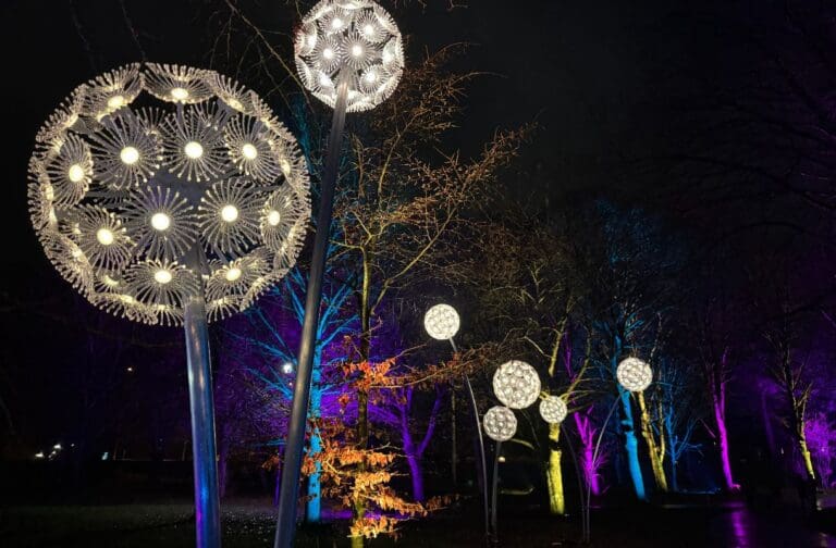 Christmas at Bute Park shines a light on local charities for 2025