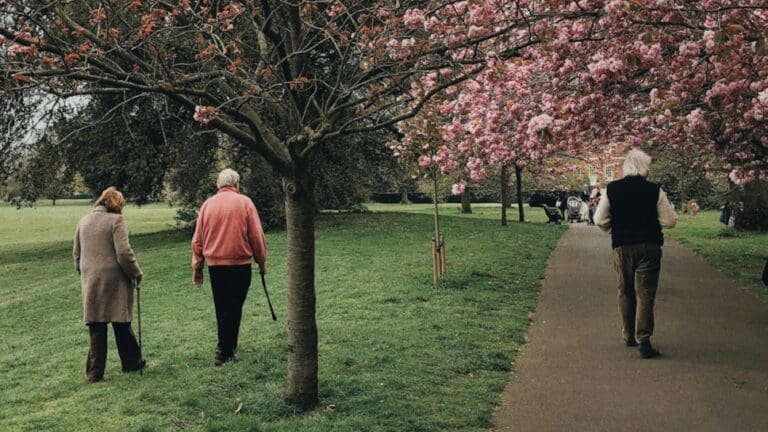 Welsh Government announces £1.1m to support older people across Wales