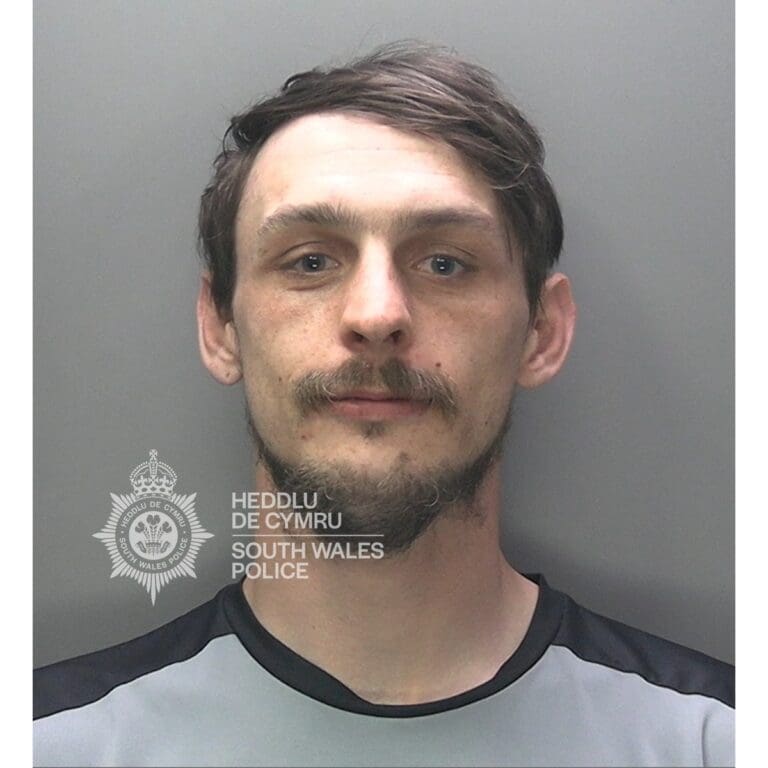 Swansea man who ‘made victims life a misery’ jailed