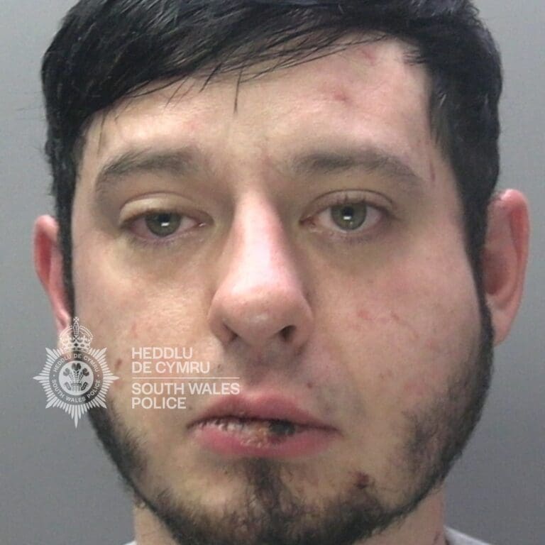 Man jailed for assault and strangulation in Swansea