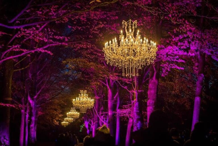 Cardiff’s Christmas at Bute Park unveils 2025 trail