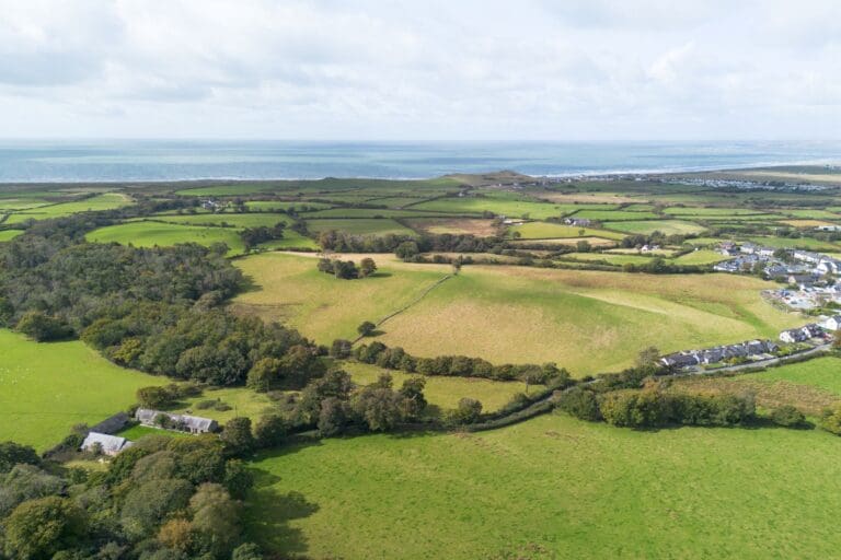 Historic Glynllifon farmland released to market for first time in centuries