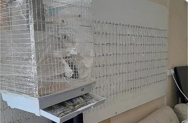 Sniffer dogs uncover hidden counterfeit goods in Port Talbot