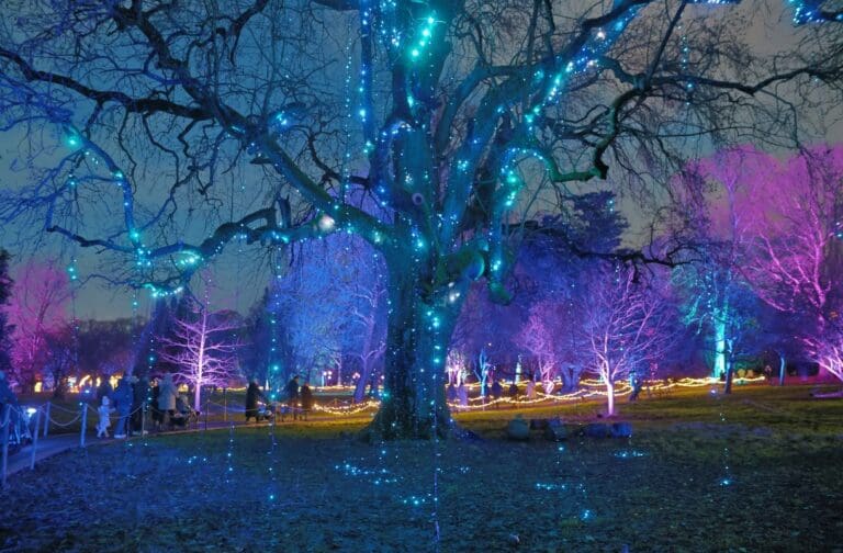 Cardiff’s Christmas at Bute Park reveals brand-new festive trail for 2026