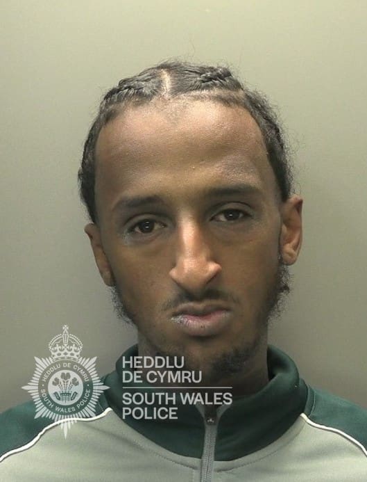 Cardiff man jailed after violent attack on police officers