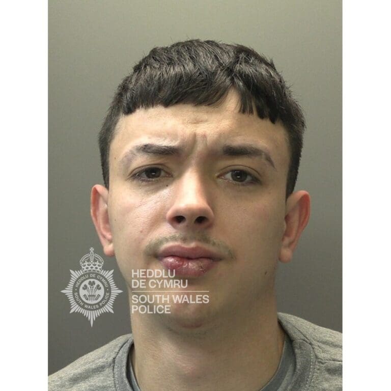 Cardiff man jailed after burglary and car theft