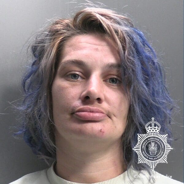 Wrexham woman jailed after attacking man with broken glass