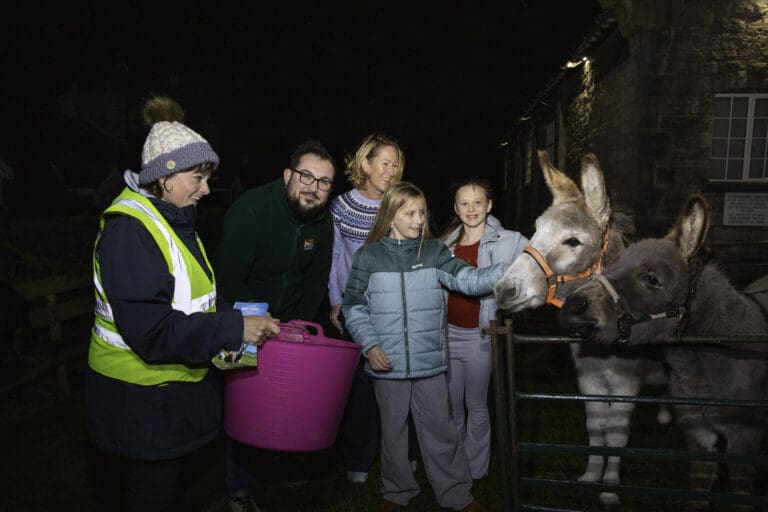 Donkey delight as rescue duo bring festive magic to Denbighshire school fair