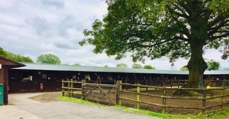 New operator sought to safeguard Cardiff Riding School in Pontcanna