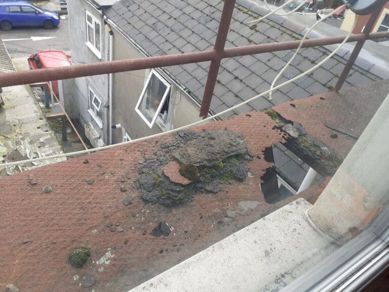 Cardiff landlord fined after cockroach infestation and serious safety hazards