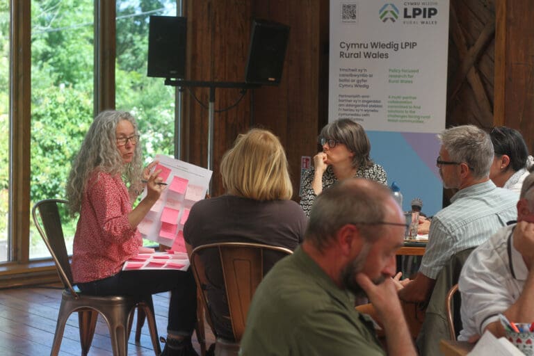 Organisations come together in Aberystwyth to shape the future of Wales