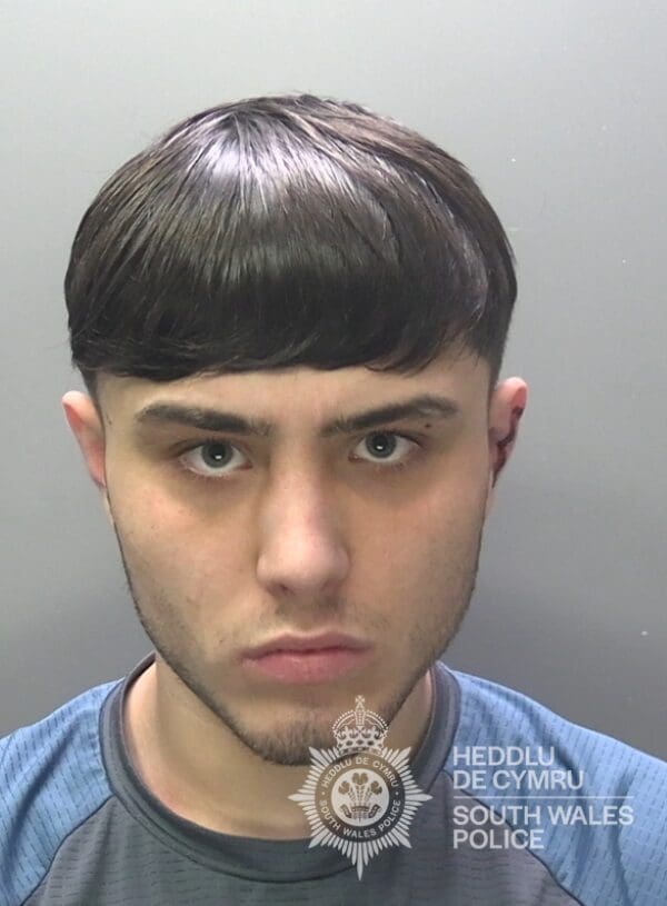 Swansea man jailed for metal pole attack and knife threat