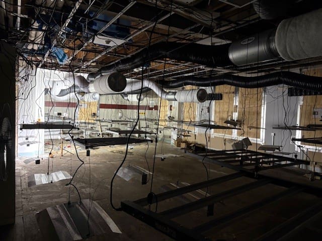 Huge cannabis operation uncovered in former Neath M&S building