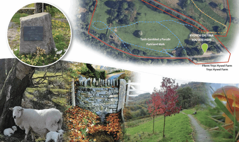 Day of Reflection to honour lives lost during pandemic in Caerphilly