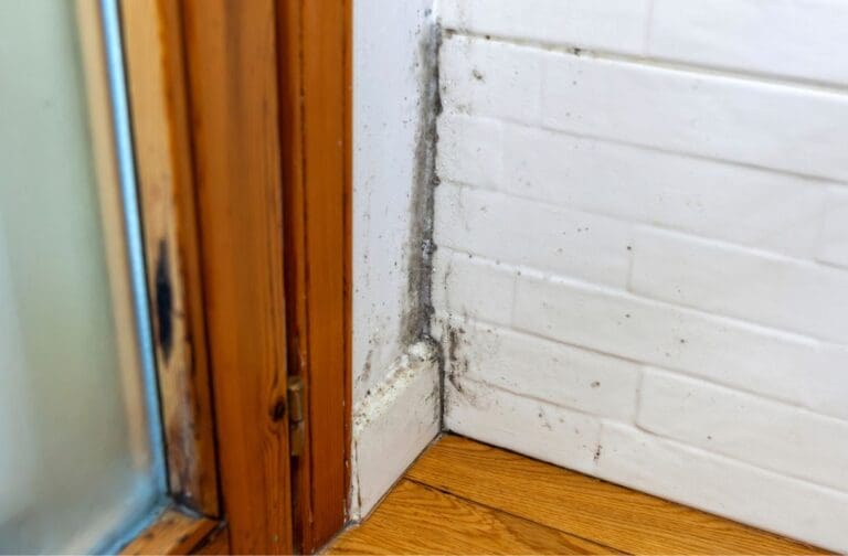 Tackling Damp in Welsh Homes: How Modern Ventilation Systems Offer a Solution