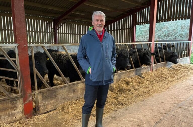 Sustainable Farming Scheme opens for Welsh farmers
