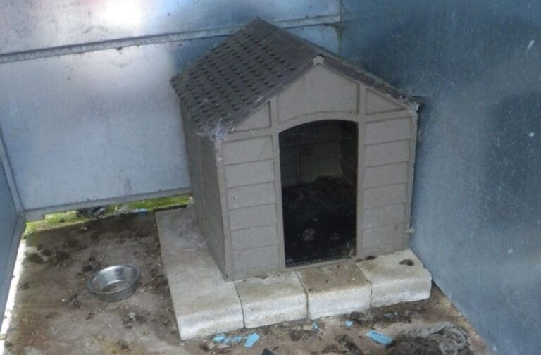 Woman given life ban after three dogs found dead in kennels