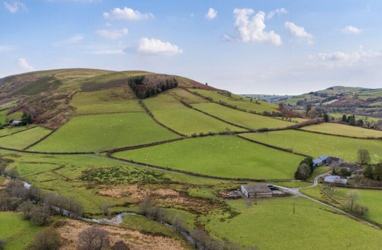 Mid Wales sheep farm in scenic Wye Valley up for sale