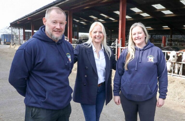 North Wales farm initiative helping young people back into work