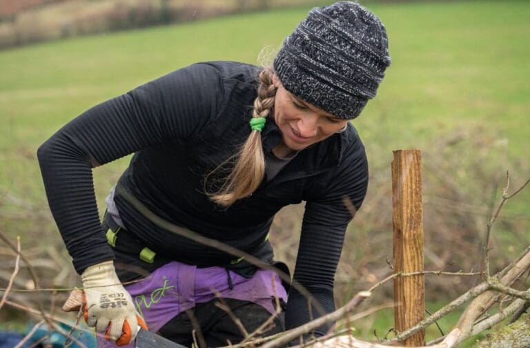 Wales’ threatened hedgerows to be restored through new £777k initiative
