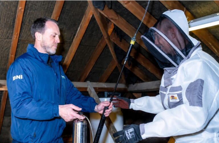 How to Protect Your Home from Pests in South East London: What Every Homeowner Should Know