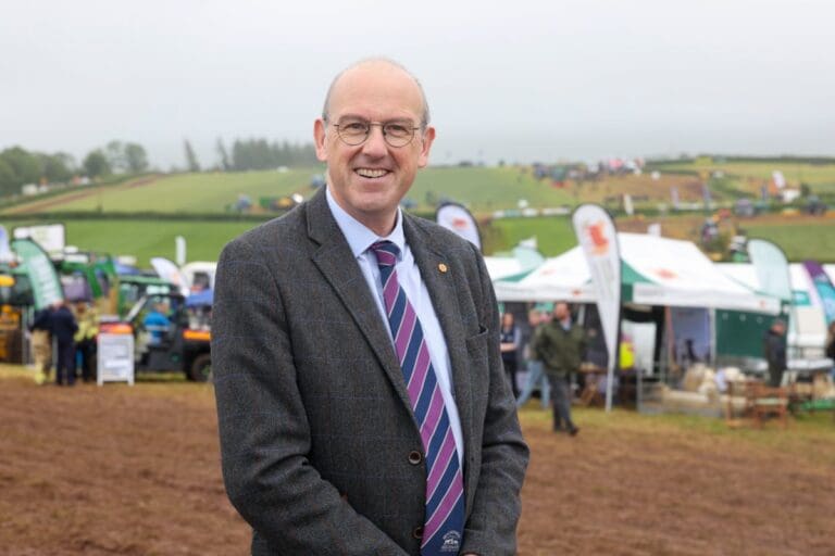 Welsh Government launches review into red tape facing farmers