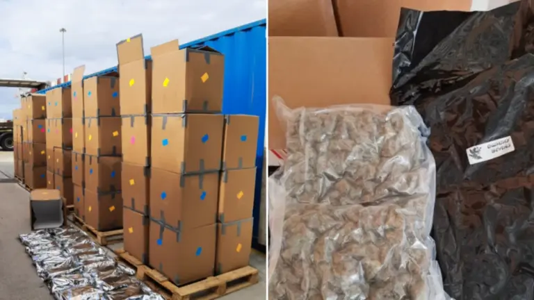Three South Wales arrests after £139 million cannabis haul seized at port