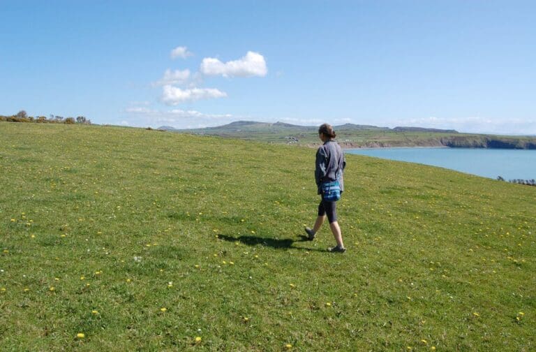Meet the people transforming lawns and verges into wildlife havens across Llŷn