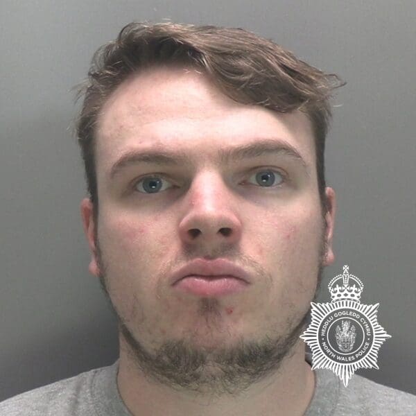 Man jailed for sexual assault and exposure in park