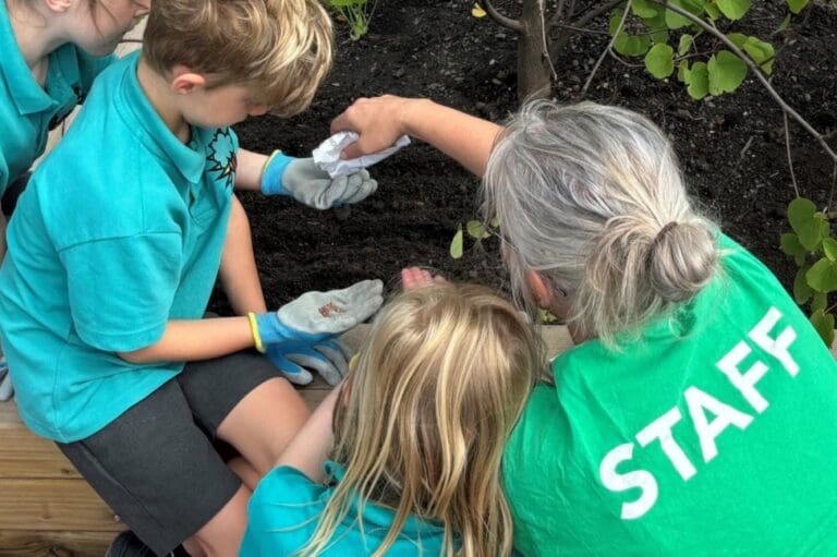 Cardiff schools to get greener playgrounds in climate change drive
