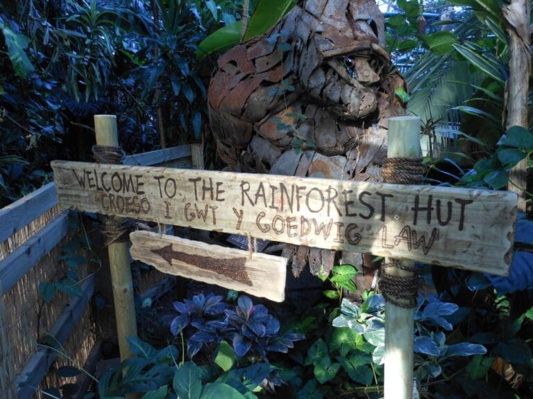 Four adorable Emperor Tamarins arrive at Swansea’s Plantasia