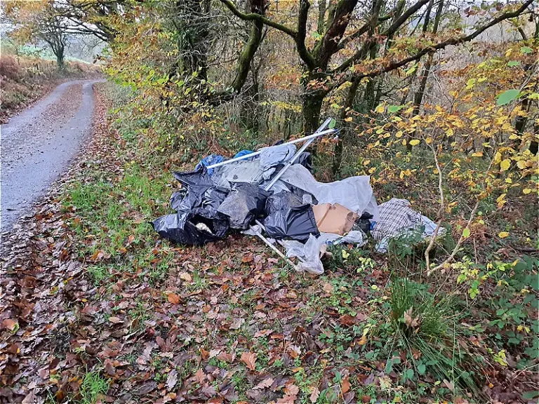 Fly tippers fined after waste dumped in Dulais Valley and Port Talbot