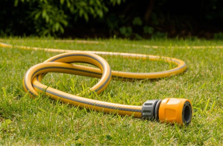 Welsh Water confirms hosepipe ban for thousands of homes