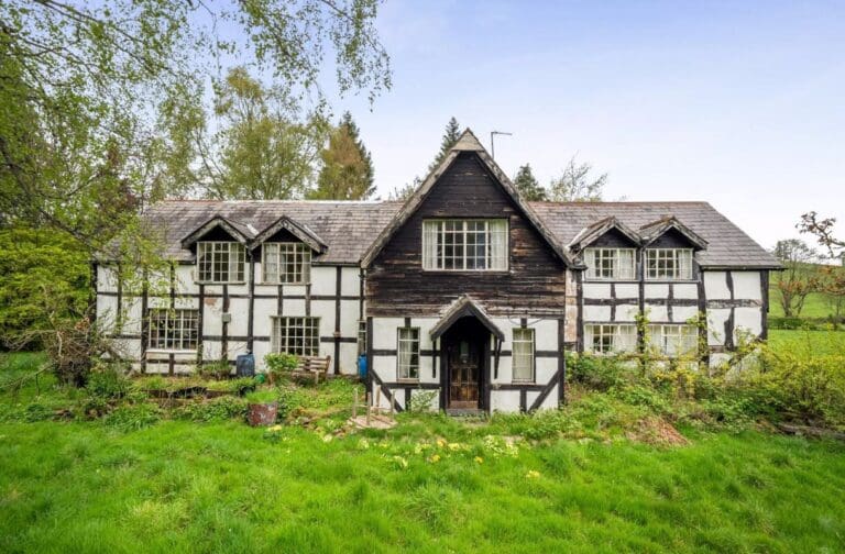 Rural North Powys homes and woodland lot to go under the hammer