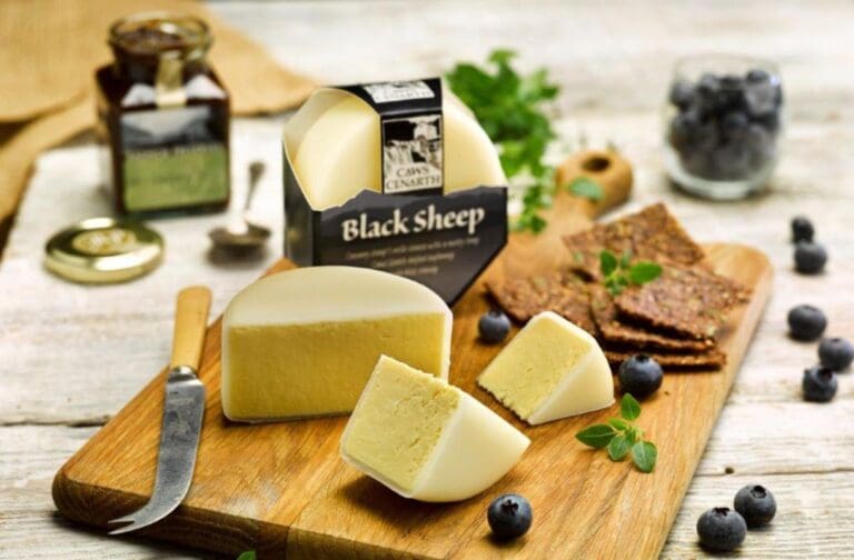 New Dairy Sheep Cluster launched to grow Welsh sheep milk industry
