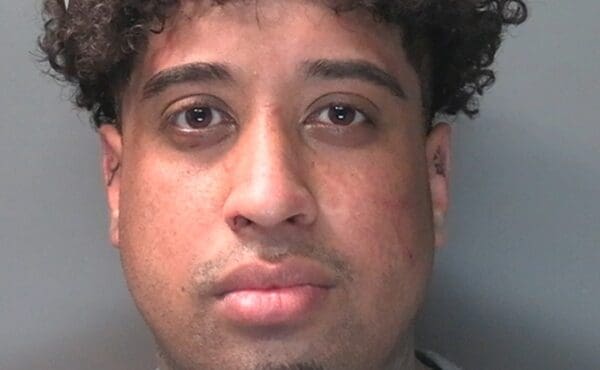 Swansea man who tried to flee police jailed for six years