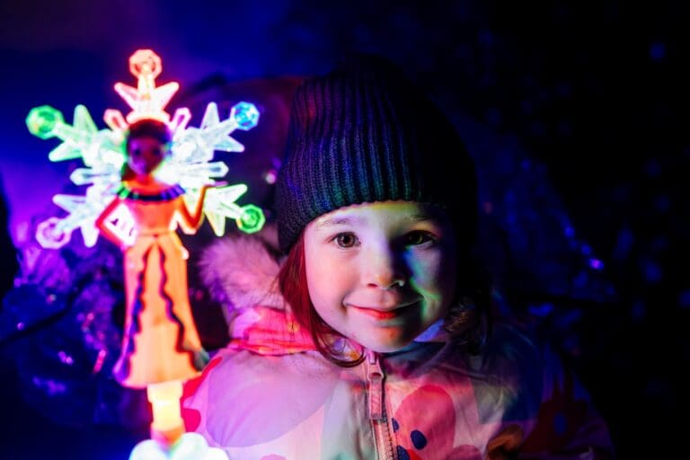 Cardiff families have days left to claim free Christmas light trail tickets