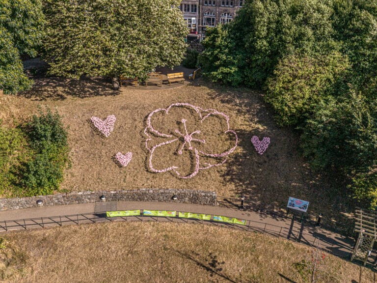 Over 1,000 pink poppies fill Cardiff Castle for City Hospice tribute