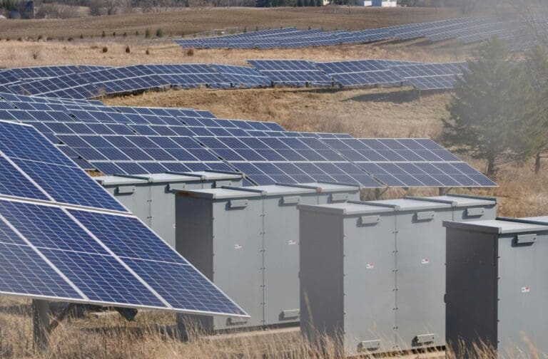 Sheikh Ahmed Dalmook Al Maktoum Counts Climate Capital in Output, Not Pledges