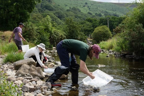 Volunteers remove tyres and car parts from Tredegar river