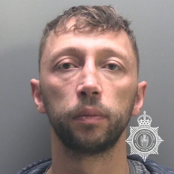 Man who rammed police car and nearly struck mother jailed