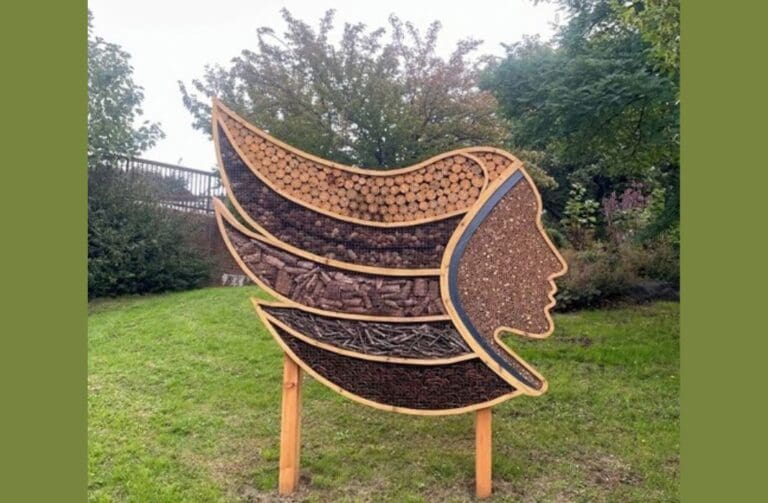 New bug hotel creates a home for wildlife in Merthyr town centre